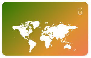 Mensa Lifetime World